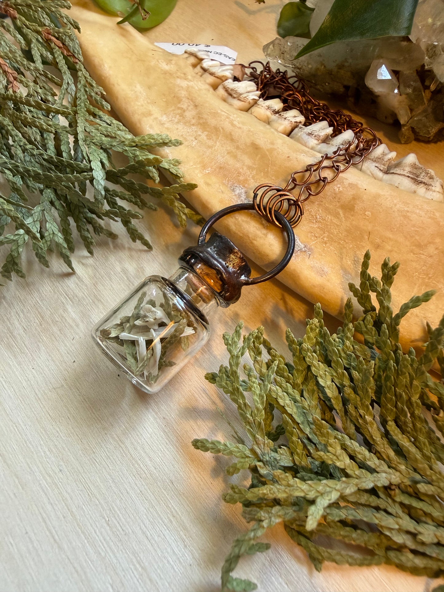 Electroformed Copper Cedar & Bone Glass Vial Necklace