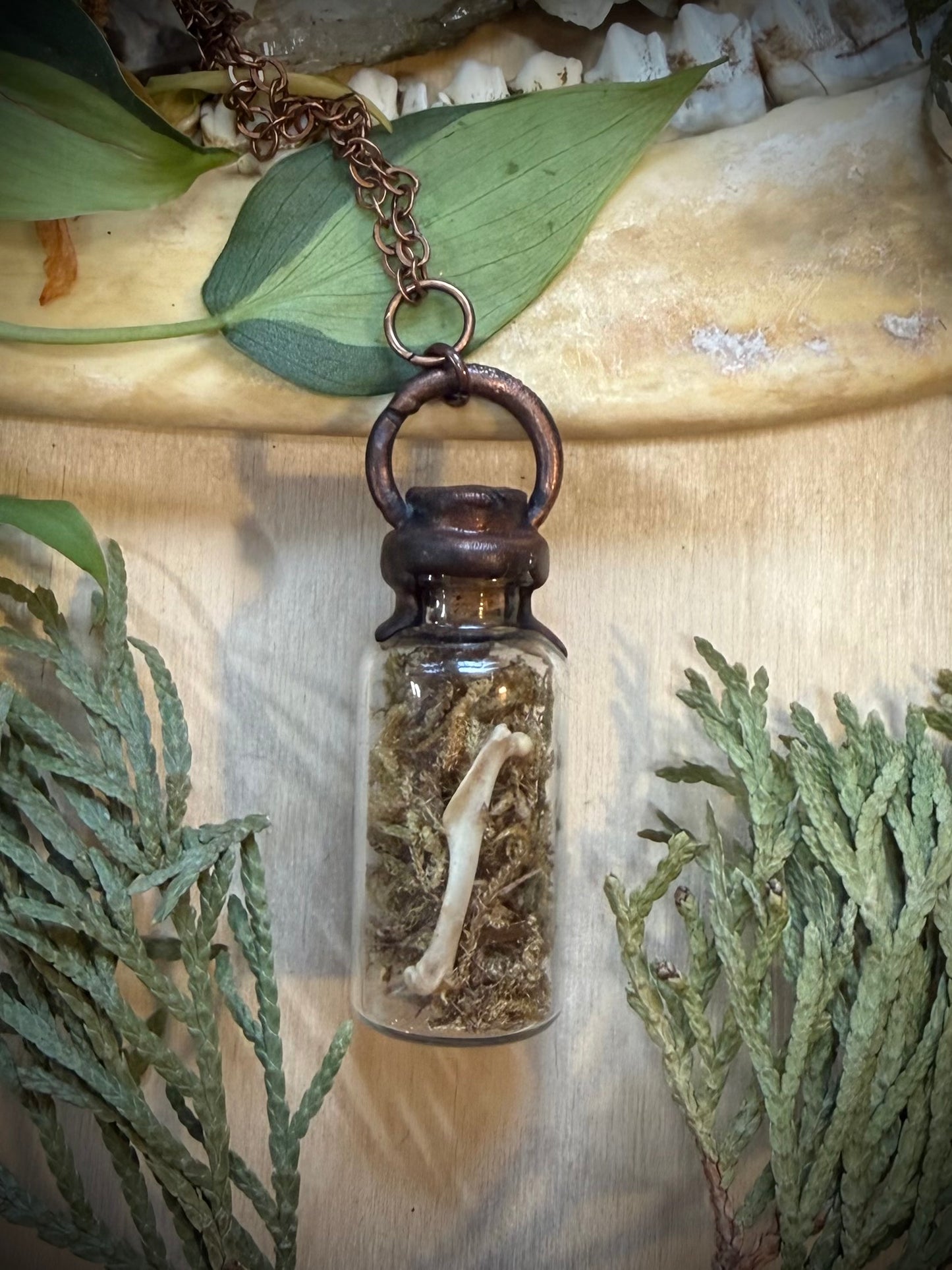 Electroformed Copper Cap Moss and Bone Vial Necklace