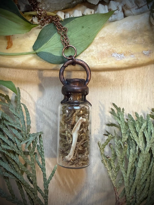 Electroformed Copper Cap Moss and Bone Vial Necklace