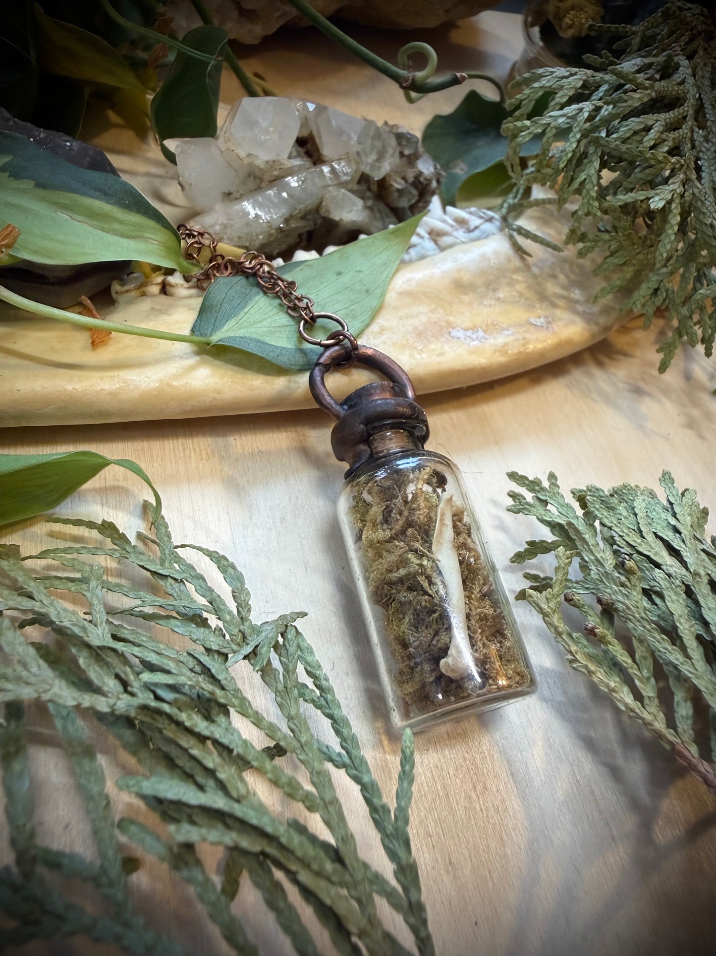 Electroformed Copper Cap Moss and Bone Vial Necklace