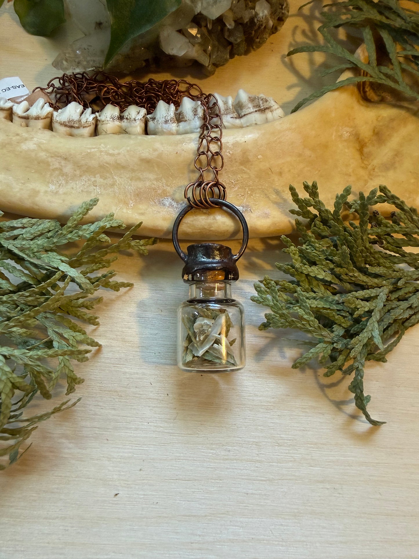 Electroformed Copper Cedar & Bone Glass Vial Necklace