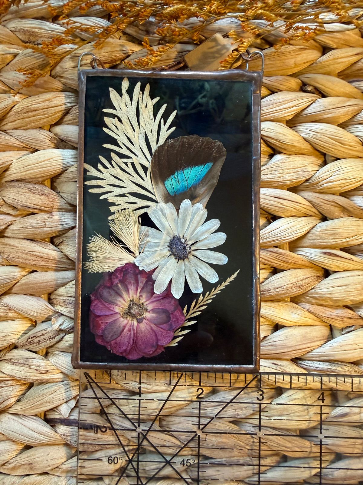 Botanical Stained Glass - Butterfly Wing, Blue Glass