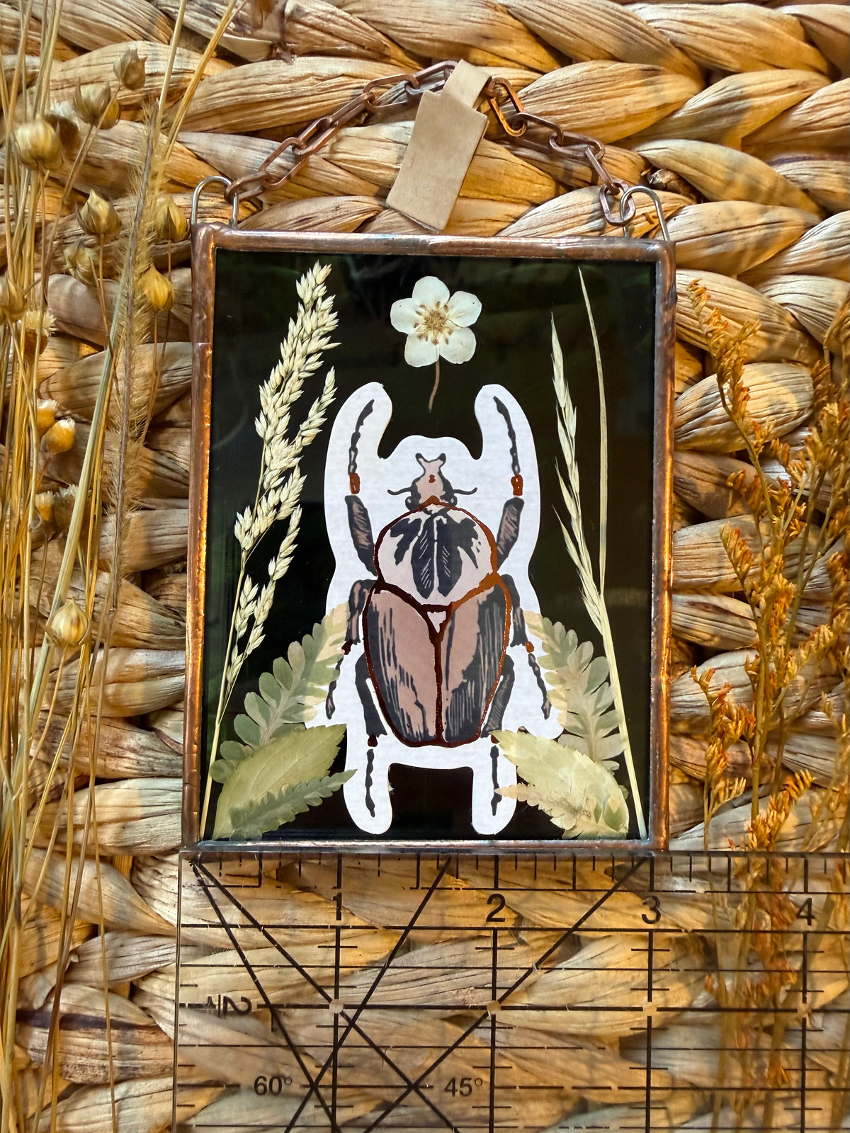 Botanical Stained Glass - Paper Beetle, Green Glass