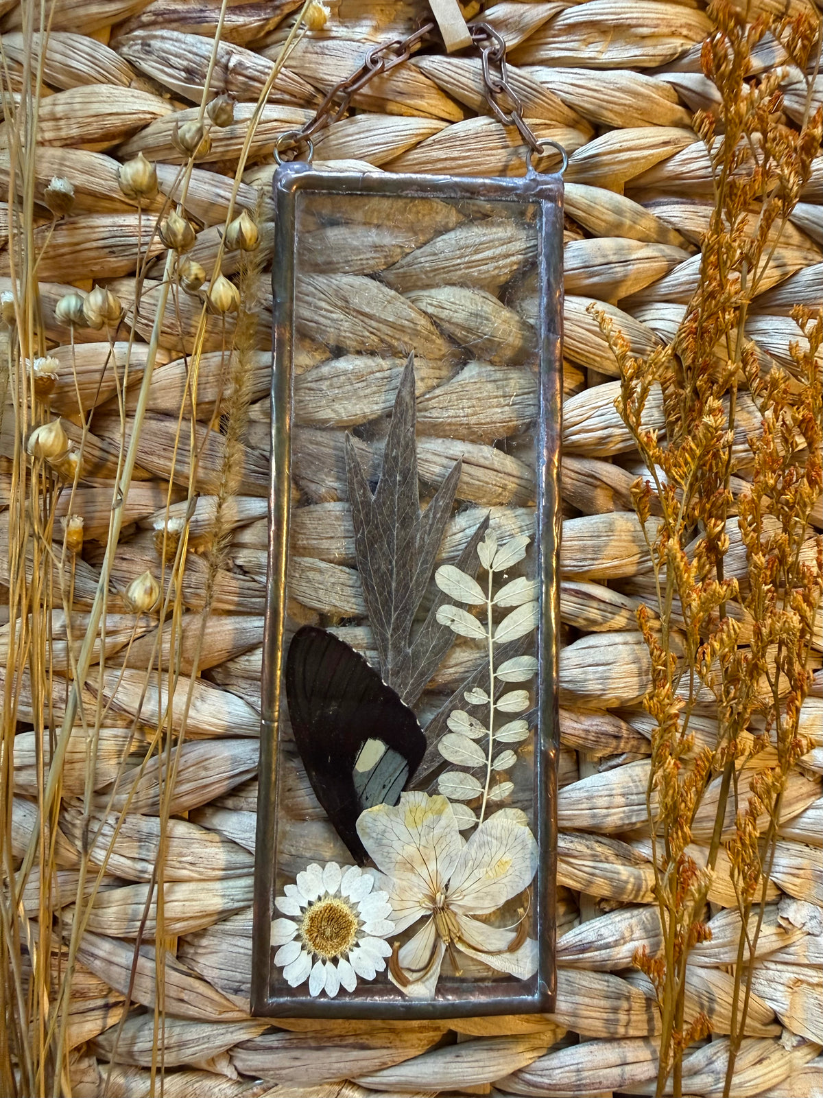 Botanical Stained Glass - Butterfly Wing, Textured Clear Glass