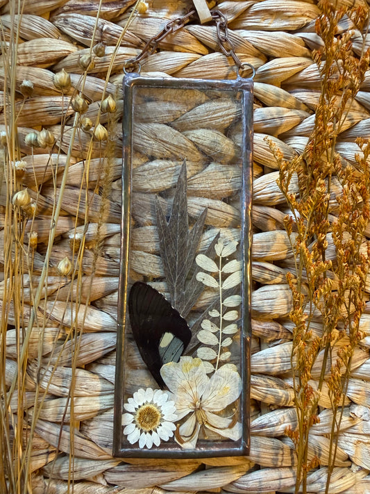Botanical Stained Glass - Butterfly Wing, Textured Clear Glass