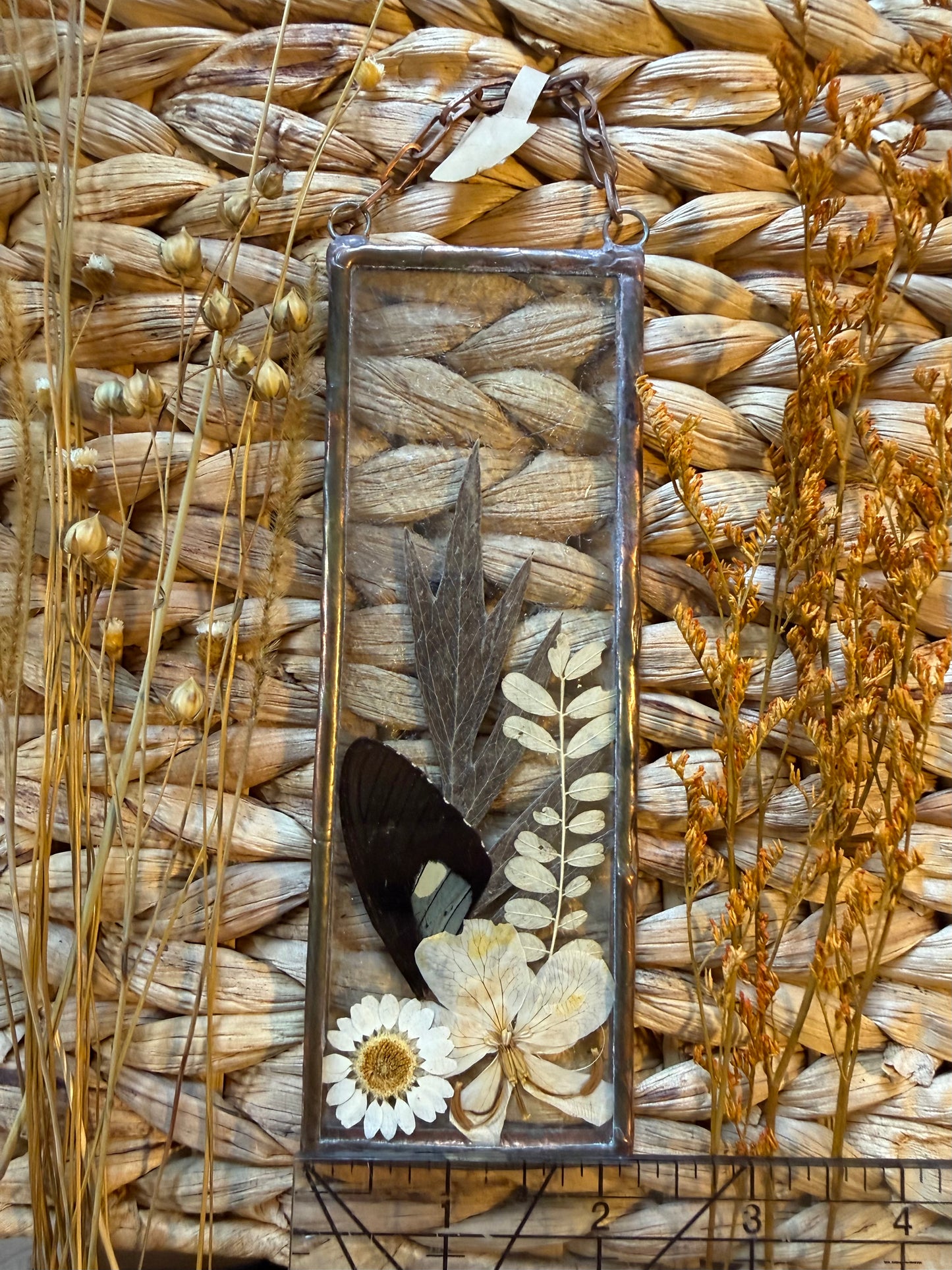 Botanical Stained Glass - Butterfly Wing, Textured Clear Glass