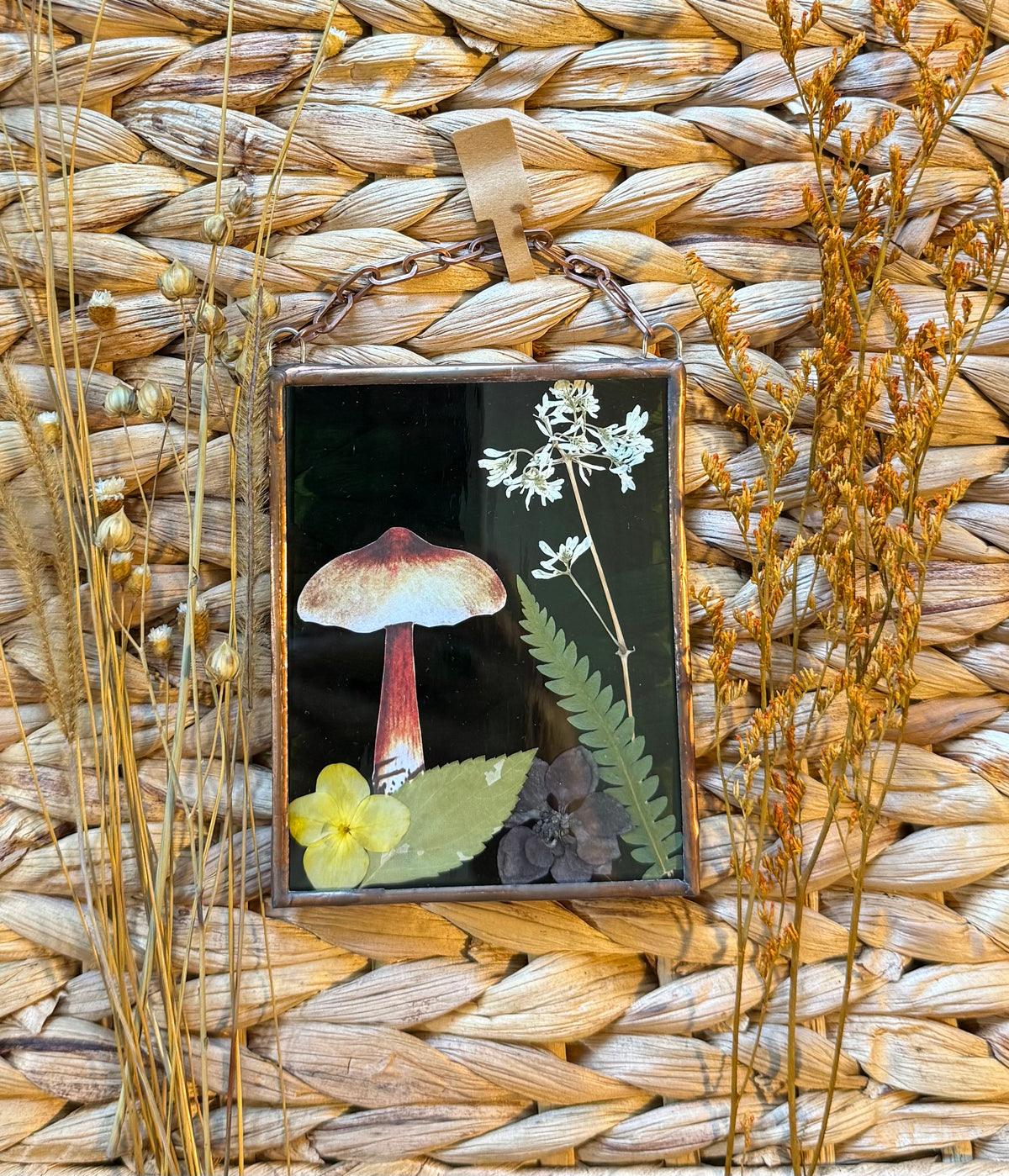 Botanical Stained Glass - Paper Mushroom, Green Glass