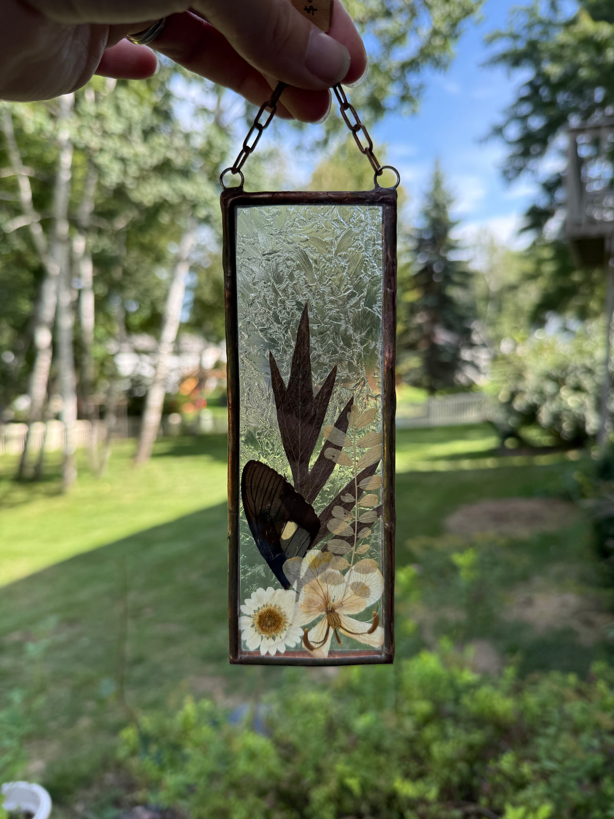 Botanical Stained Glass - Butterfly Wing, Textured Clear Glass