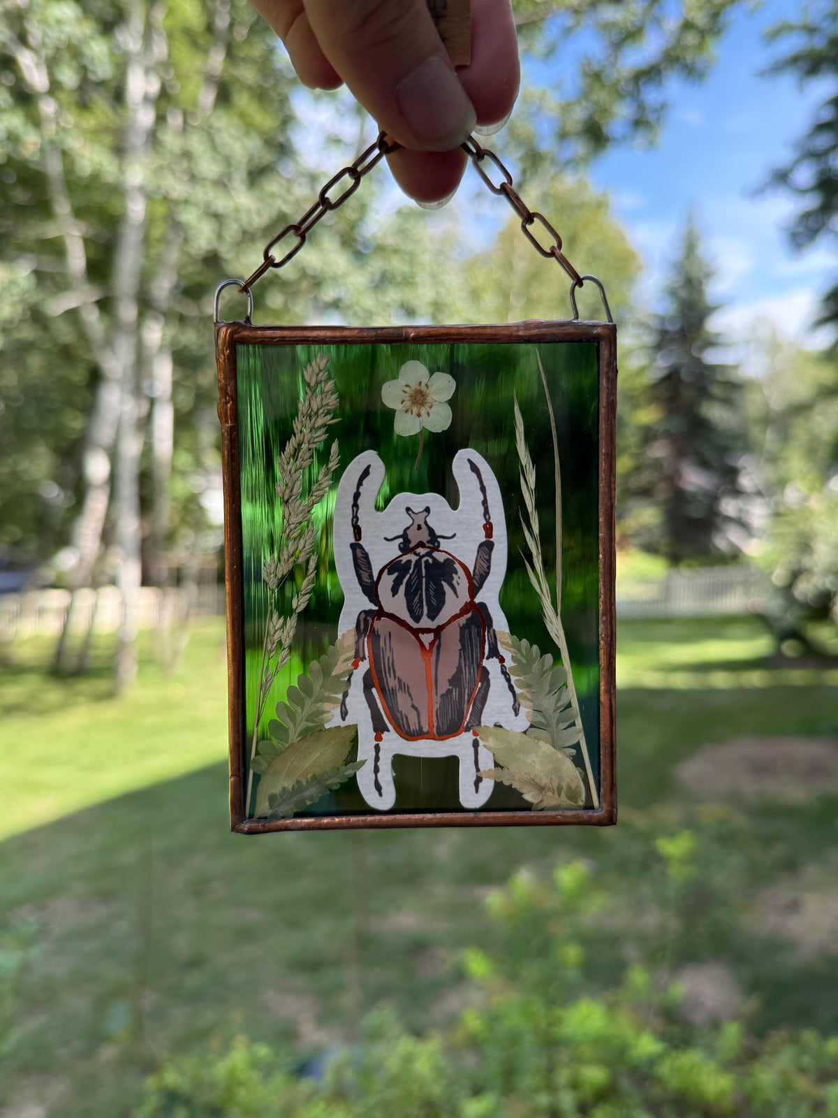 Botanical Stained Glass - Paper Beetle, Green Glass