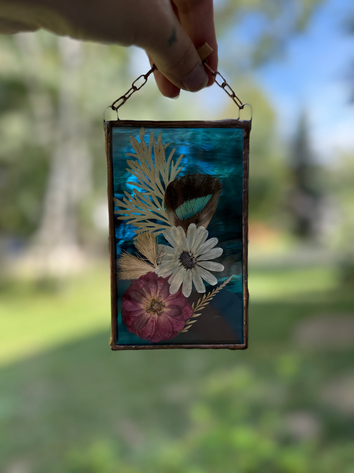 Botanical Stained Glass - Butterfly Wing, Blue Glass