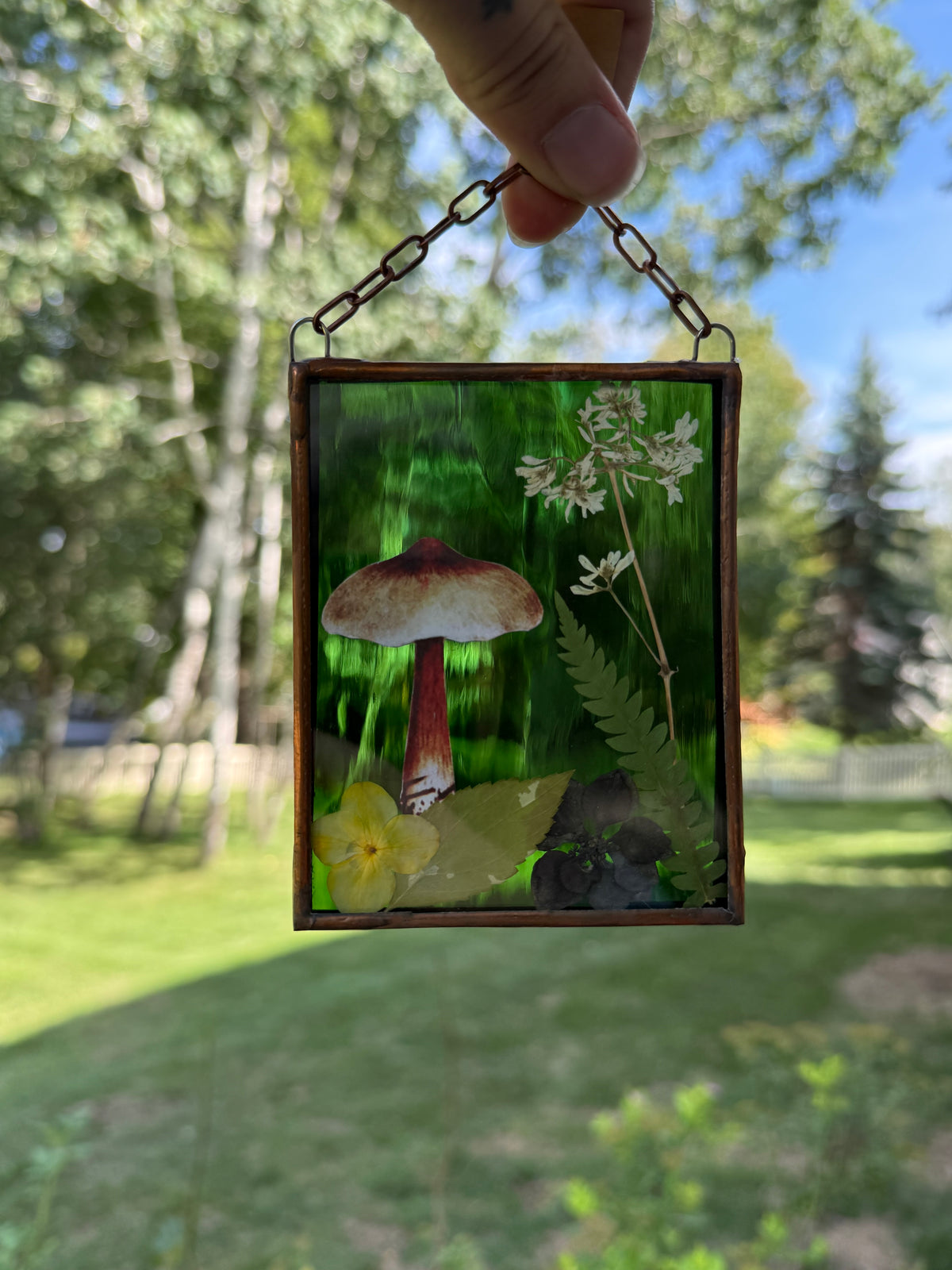 Botanical Stained Glass - Paper Mushroom, Green Glass
