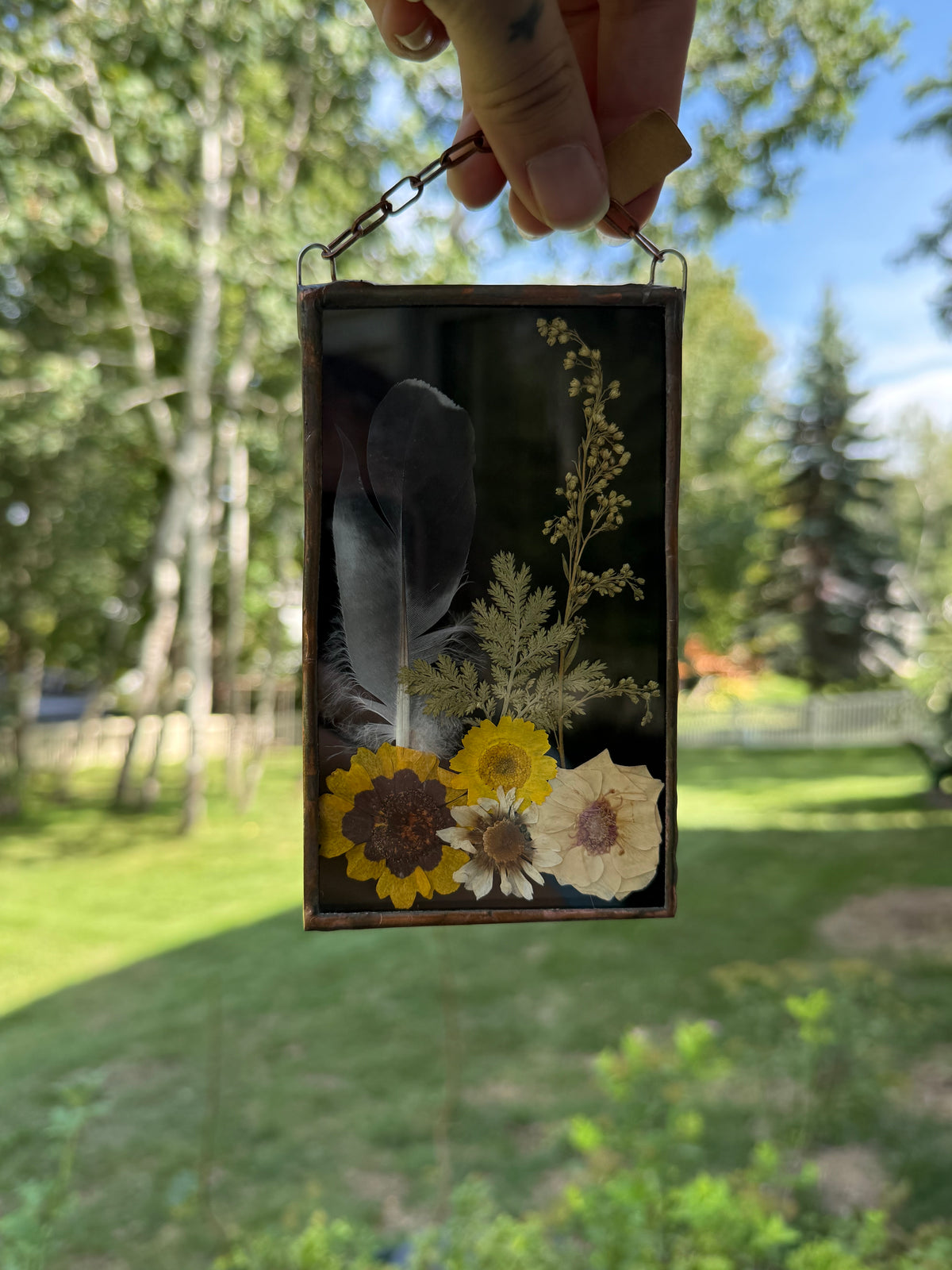 Botanical Stained Glass - Feather, Black Glass
